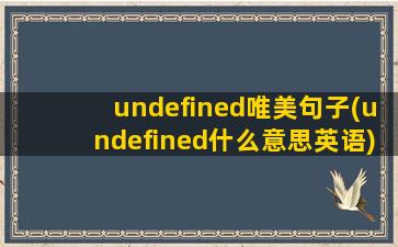 undefined唯美句子(undefined什么意思英语)
