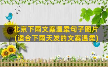 北京下雨文案温柔句子图片(适合下雨天发的文案温柔)
